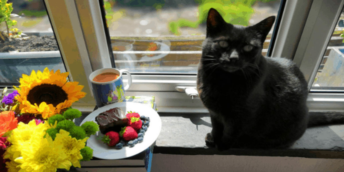 A Few Fun Things to Make Self-Isolation (& Life) Easier, life, reading, self care