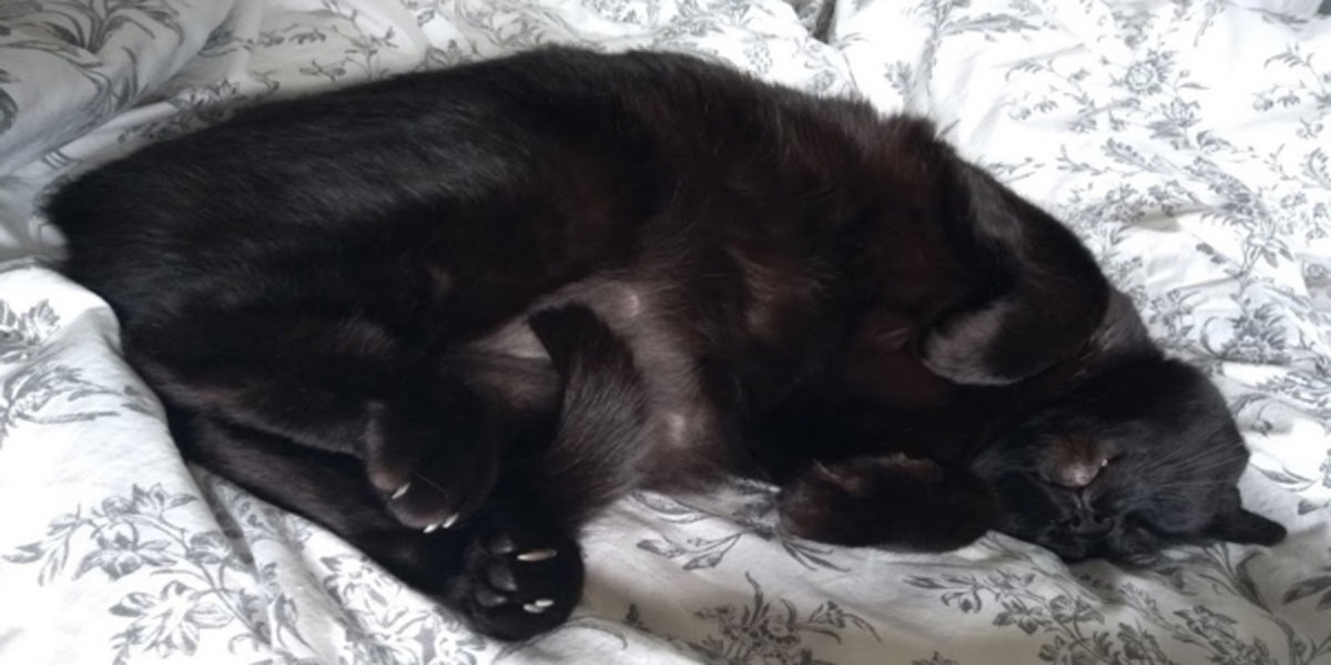 The Upsides of Not Sleeping, life, self care, writing